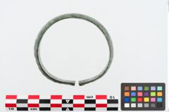 Foto von Bronzemelonenarmreif (NHMW-PRAE-024877)